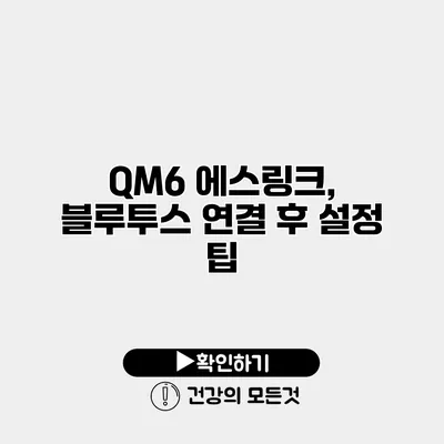 QM6 에스링크, 블루투스 연결 후 설정 팁