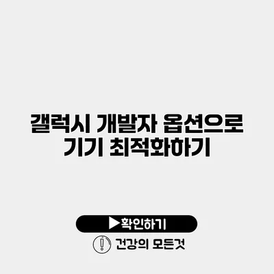 갤럭시 개발자 옵션으로 기기 최적화하기