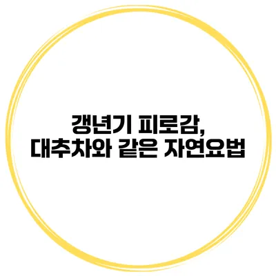 갱년기 피로감, 대추차와 같은 자연요법