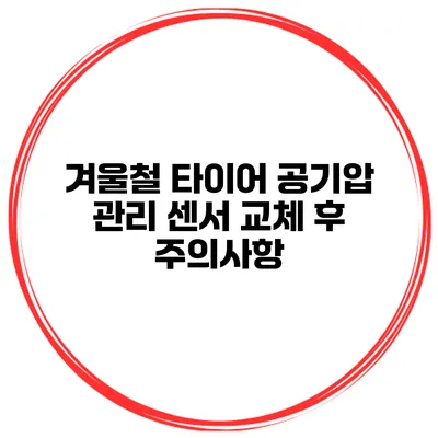 겨울철 타이어 공기압 관리: 센서 교체 후 주의사항