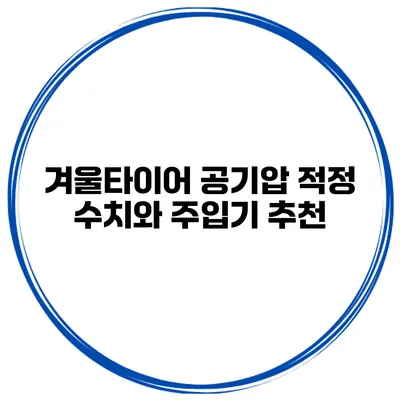 겨울타이어 공기압 적정 수치와 주입기 추천