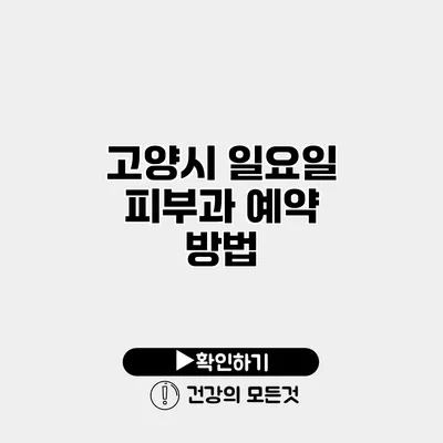 고양시 일요일 피부과 예약 방법