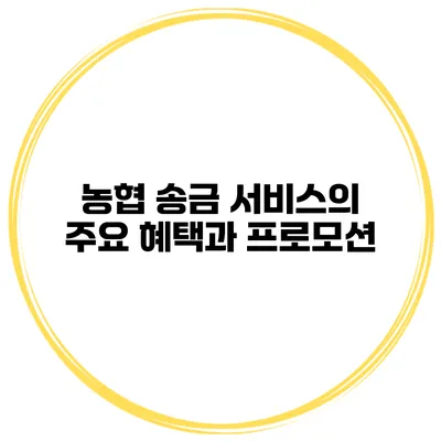 농협 송금 서비스의 주요 혜택과 프로모션