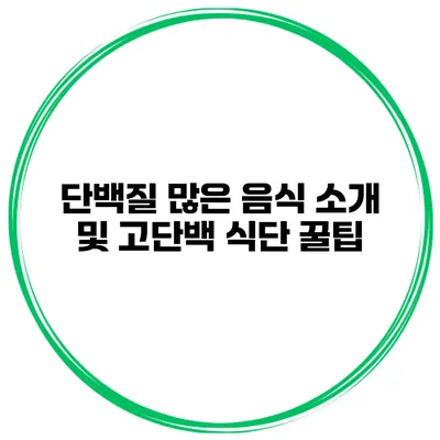 단백질 많은 음식 소개 및 고단백 식단 꿀팁