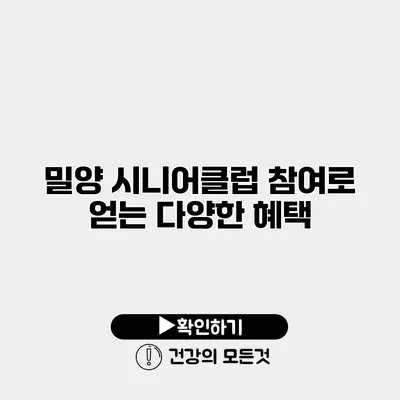 밀양 시니어클럽 참여로 얻는 다양한 혜택