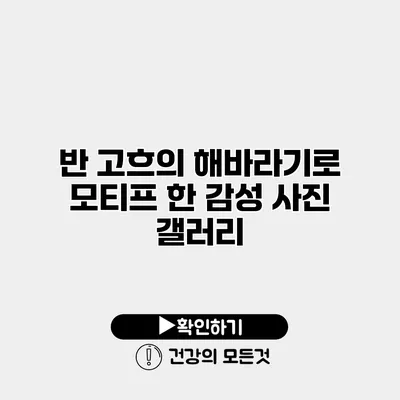 반 고흐의 해바라기로 모티프 한 감성 사진 갤러리