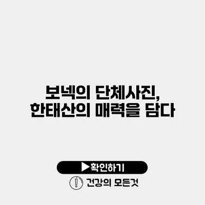 보넥의 단체사진, 한태산의 매력을 담다