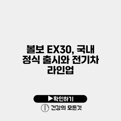 볼보 EX30, 국내 정식 출시와 전기차 라인업