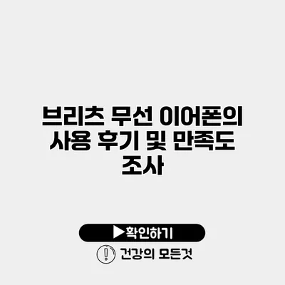 브리츠 무선 이어폰의 사용 후기 및 만족도 조사