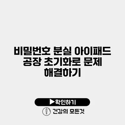 비밀번호 분실 아이패드 공장 초기화로 문제 해결하기