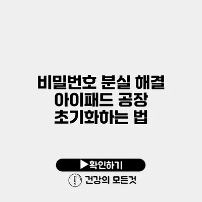 비밀번호 분실 해결 아이패드 공장 초기화하는 법