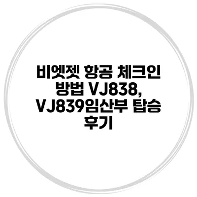 비엣젯 항공 체크인 방법 VJ838, VJ839임산부 탑승 후기