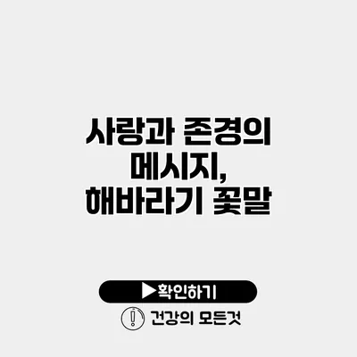 사랑과 존경의 메시지, 해바라기 꽃말