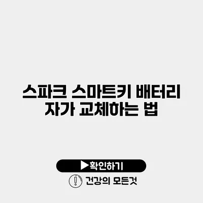 스파크 스마트키 배터리 자가 교체하는 법