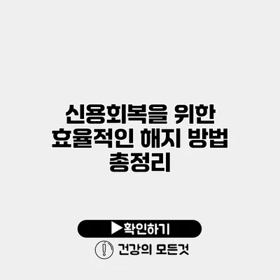 신용회복을 위한 효율적인 해지 방법 총정리