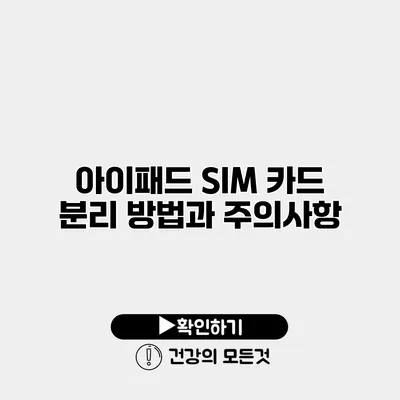 아이패드 SIM 카드 분리 방법과 주의사항