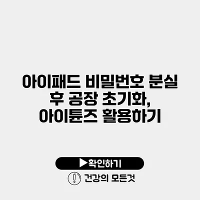 아이패드 비밀번호 분실 후 공장 초기화, 아이튠즈 활용하기