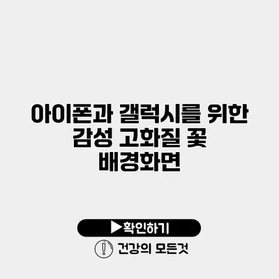 아이폰과 갤럭시를 위한 감성 고화질 꽃 배경화면