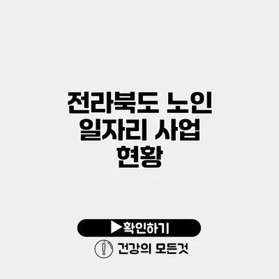 전라북도 노인 일자리 사업 현황