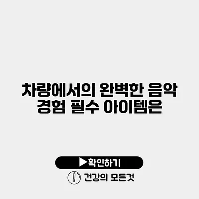 차량에서의 완벽한 음악 경험 필수 아이템은?