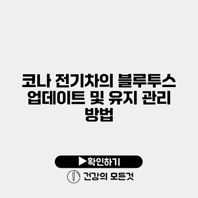 코나 전기차의 블루투스 업데이트 및 유지 관리 방법