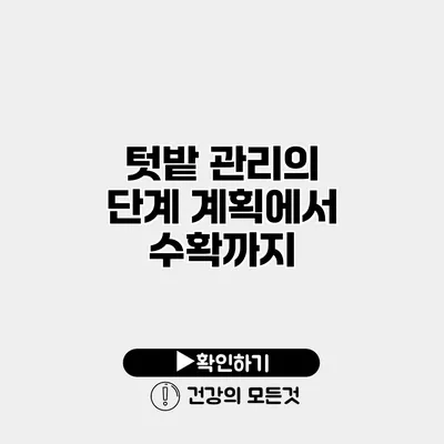 텃밭 관리의 단계 계획에서 수확까지