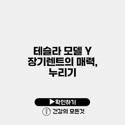 테슬라 모델 Y 장기렌트의 매력, 누리기