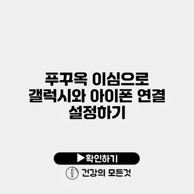 푸꾸옥 이심으로 갤럭시와 아이폰 연결 설정하기